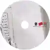 netBloc Vol. 10 Disc Alt 1 for “netBloc Volume 10: Postmodernism is dead. Postmillennialism killed it... sorry Andy :(” by Various Artists