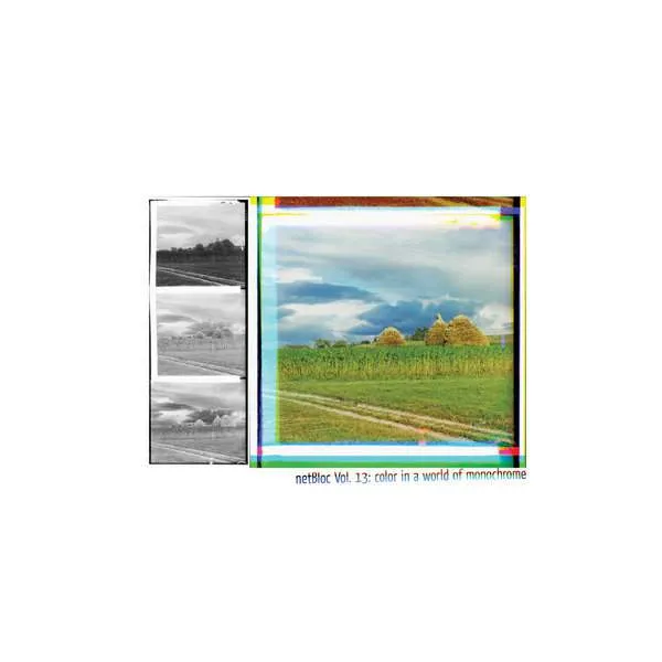 netBloc Vol. 13 Cover for “netBloc Volume 13 (color in a world of monochrome)” by Various Artists