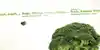 netBloc Vol. 18 Insert for “netBloc Volume 18 (frais, fresco, frisch, fresh… mmmmmmmmmmm… good)” by Various Artists