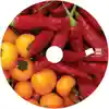 netBloc Vol. 18 Disc for “netBloc Volume 18 (frais, fresco, frisch, fresh… mmmmmmmmmmm… good)” by Various Artists