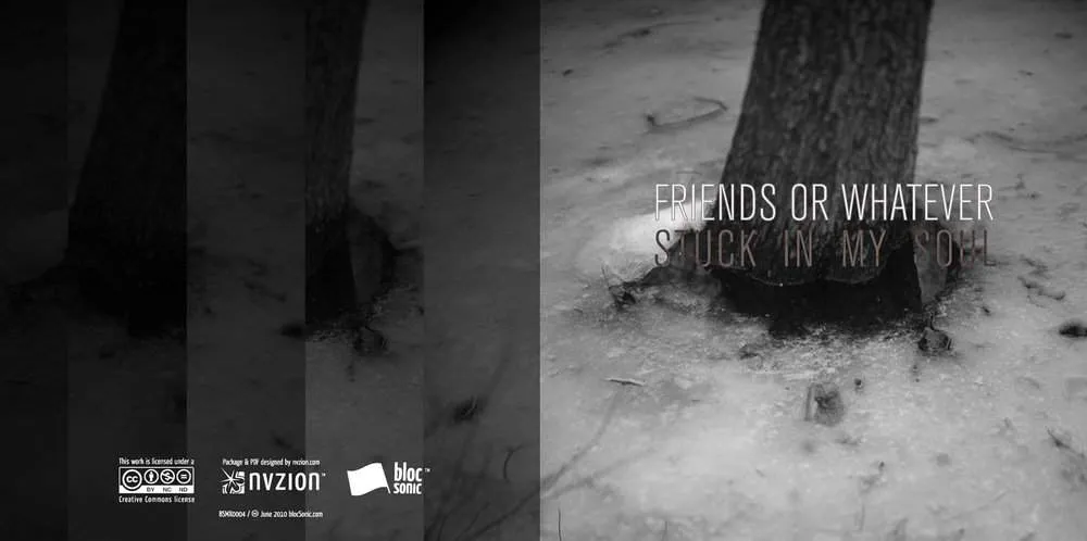 Album Insert for “Stuck In My Soul” by Friends or Whatever
