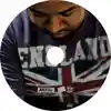 Album disc for “[albumtitle]” by Just Plain Ant