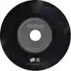 Album disc 1 for “Agony Through Ceremony XE” by The Scallions