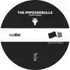 Album disc for “Everything” by The Impossebulls
