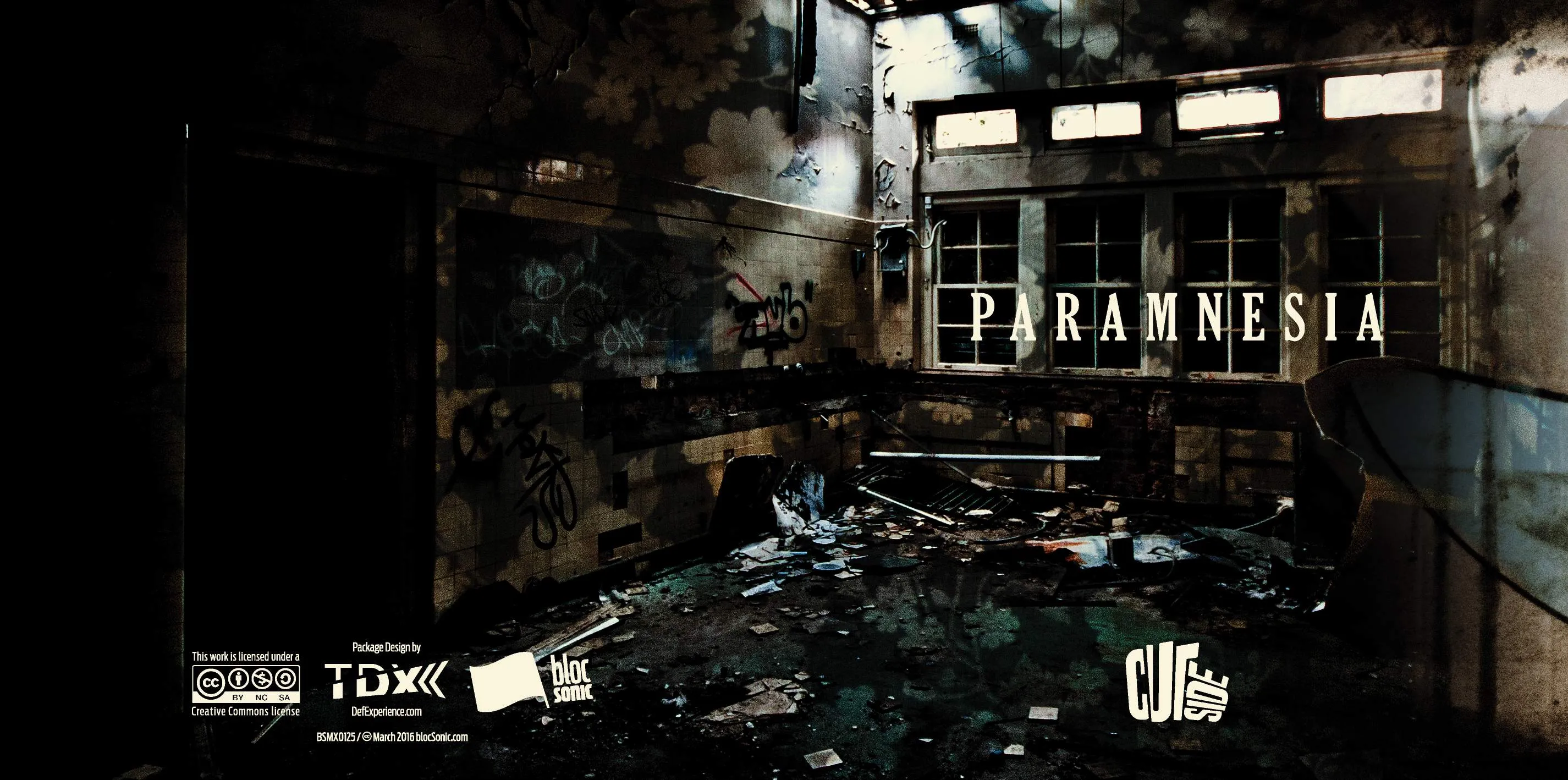 Album insert for “Paramnesia” by Cutside