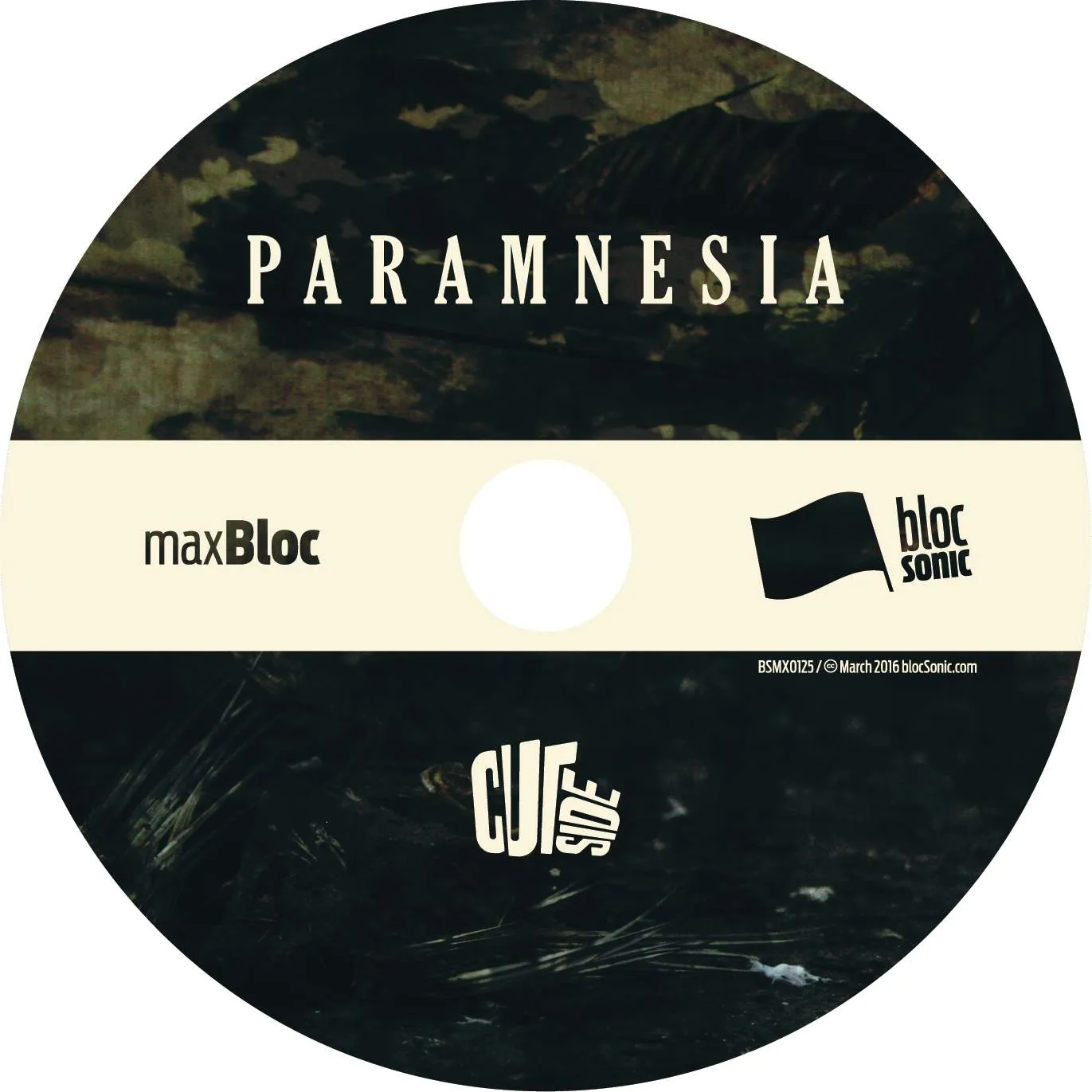 Album disc for “Paramnesia” by Cutside