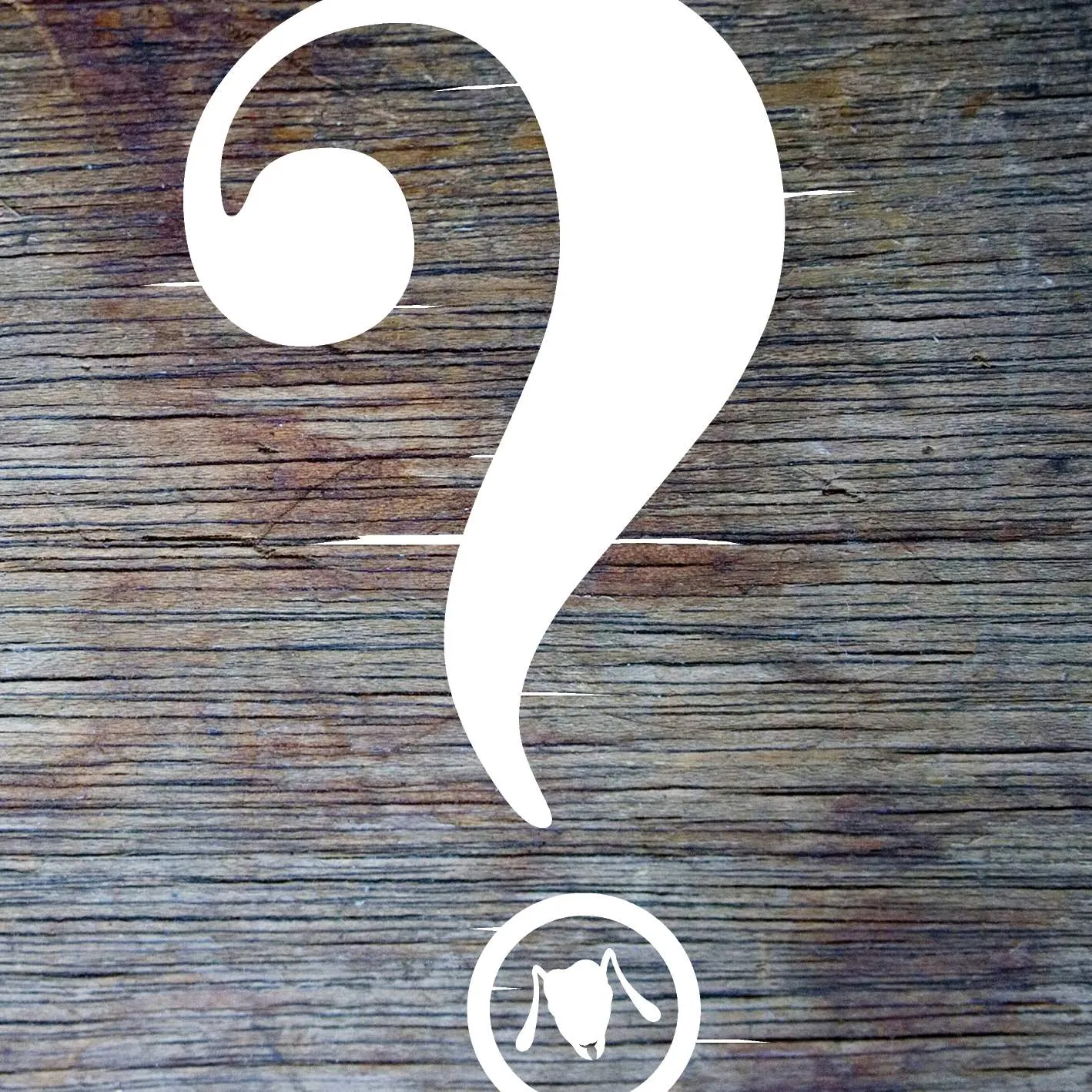 Album cover for “Wisdom Isn't Real” by Ant The Symbol