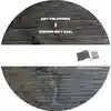 Album disc for “Wisdom Isn't Real” by Ant The Symbol