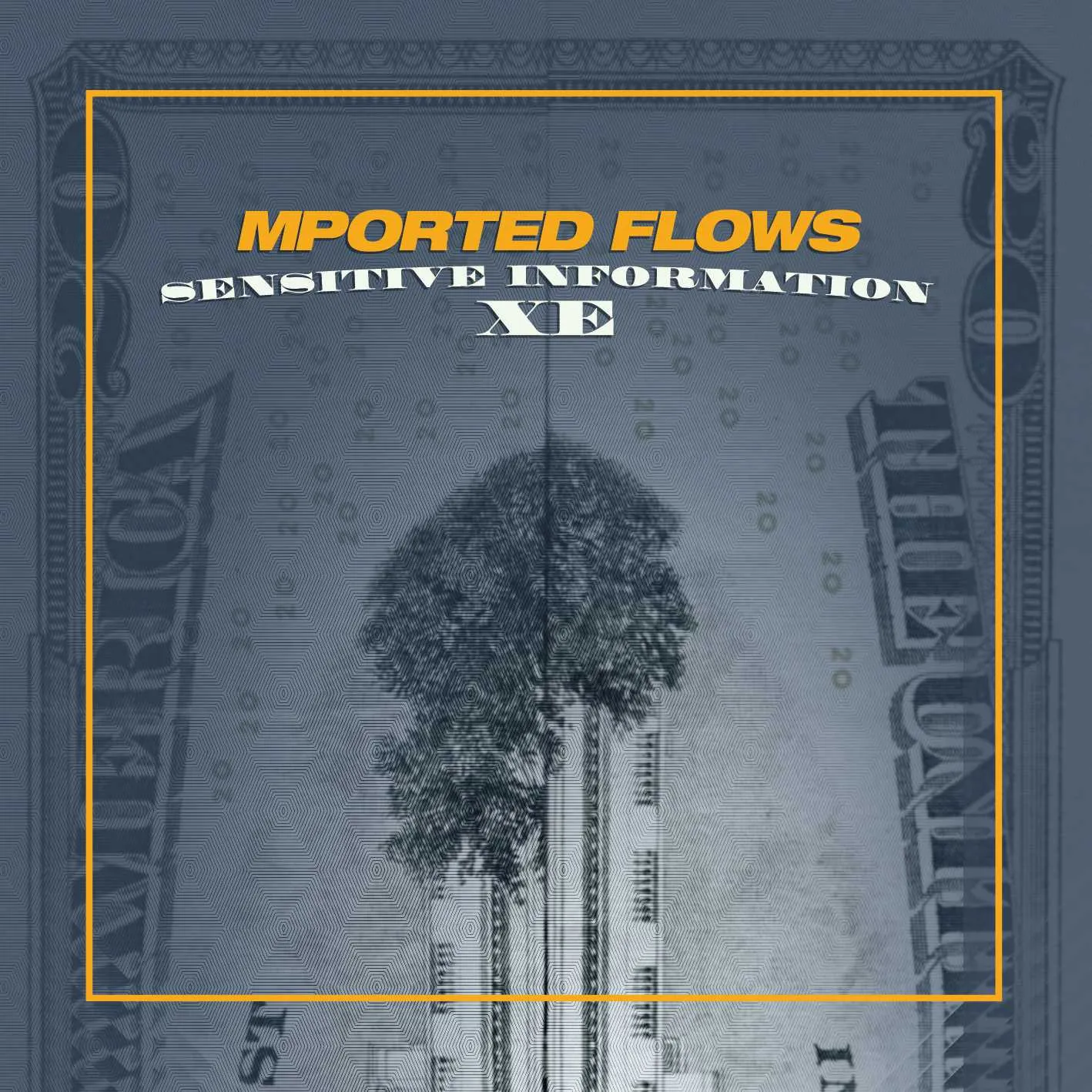Album cover for “Sensitive Information XE” by Mported Flows