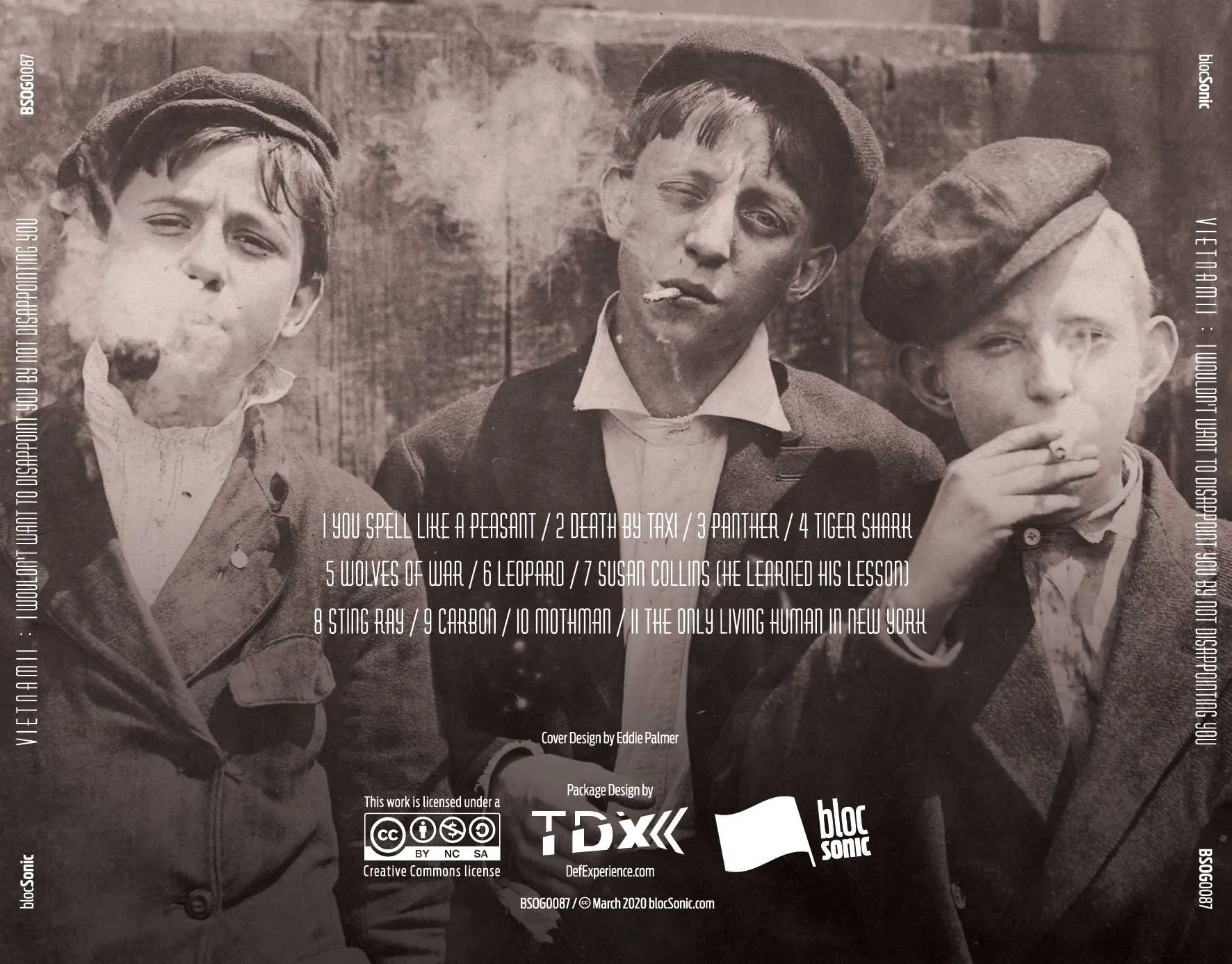 Album traycard for “I Wouldn't Want To Disappoint You By Not Disappointing You” by Vietnam II