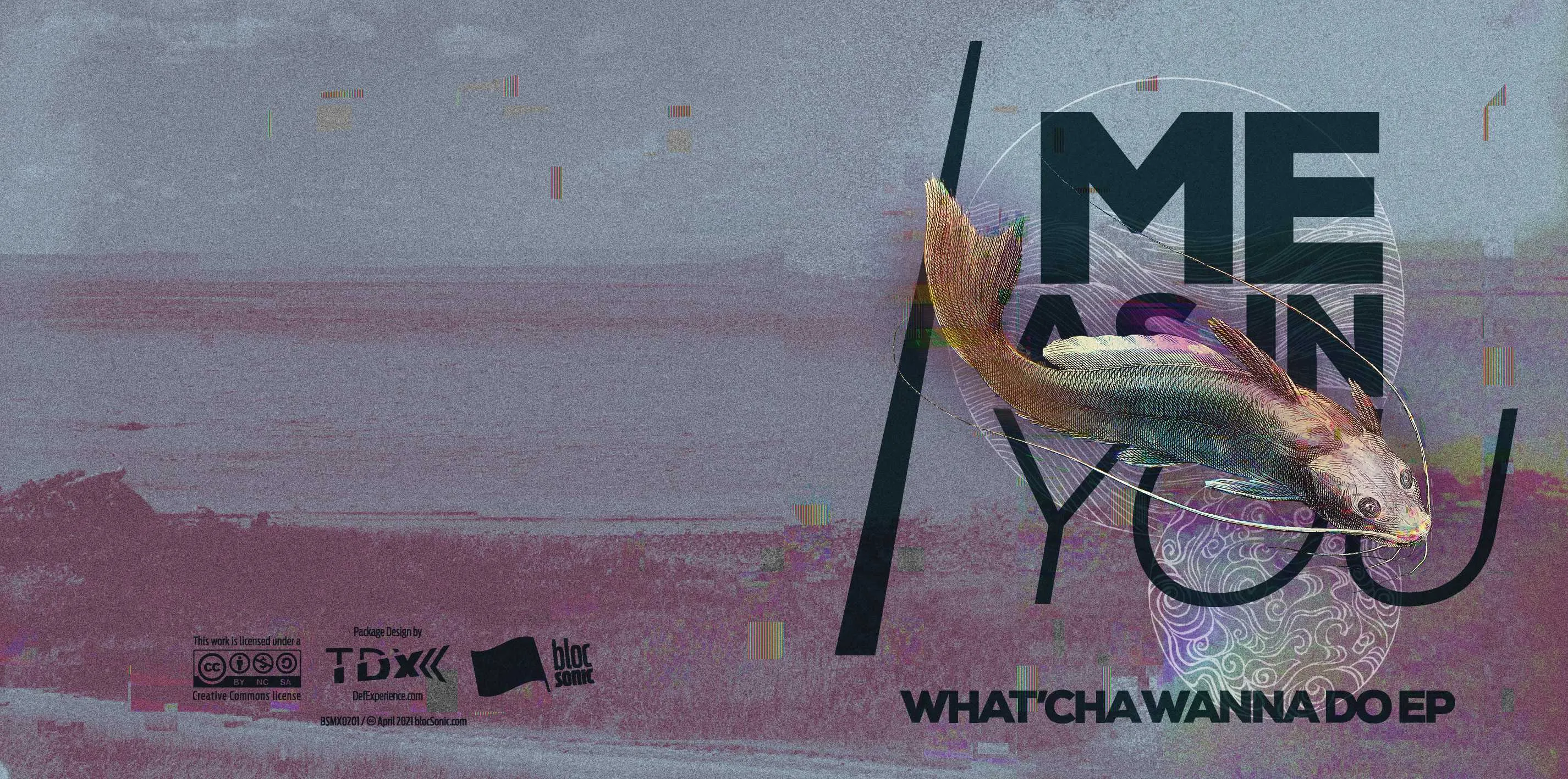 Album insert for “What'cha Wanna Do EP” by Me As In You