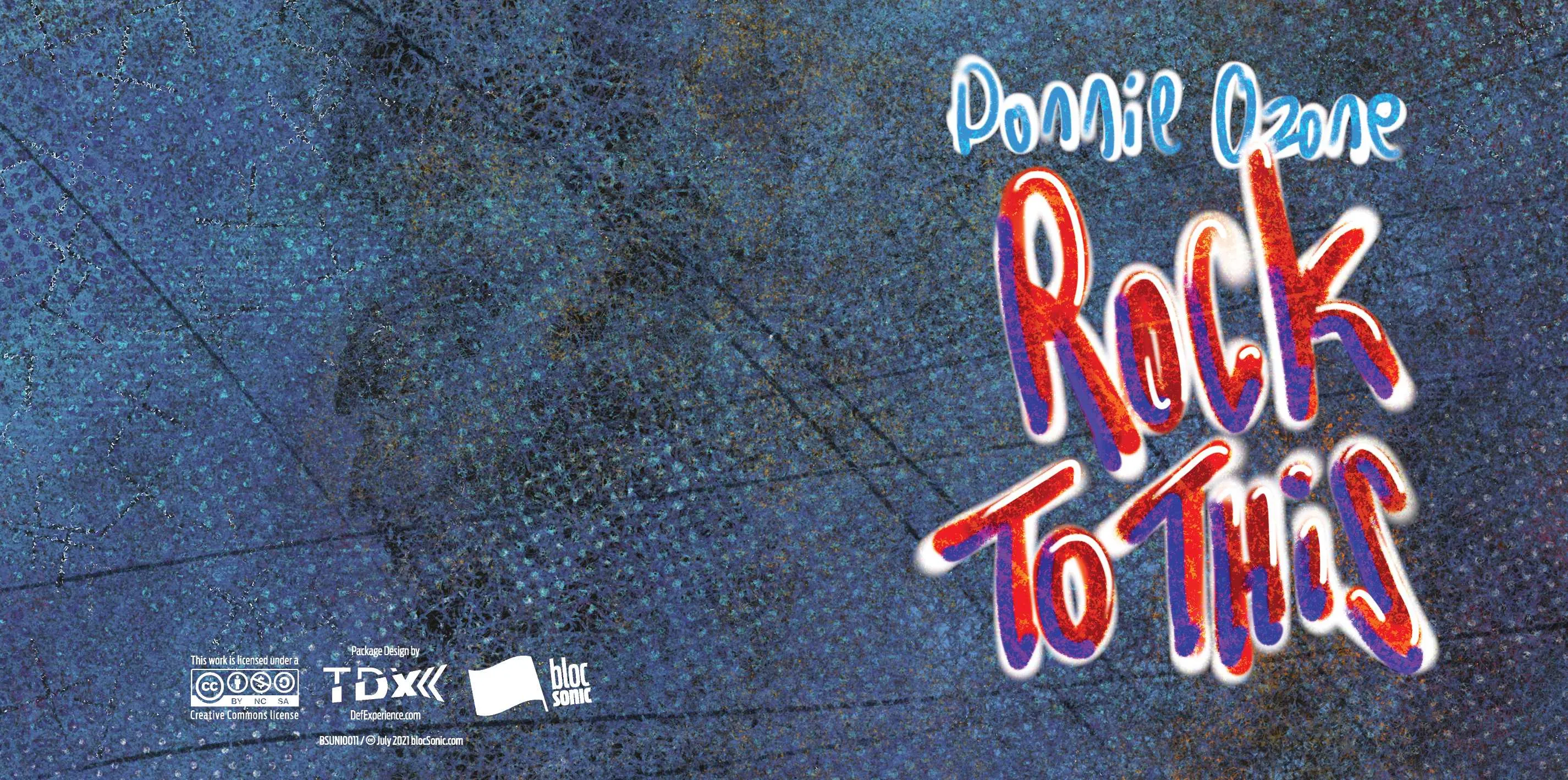 Album insert for “Rock To This” by Donnie Ozone