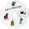 Album disc for “Thank Fuck For People Like Us” by Ergo Phizmiz