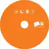 Album disc for “Grey” by Moki Mcfly