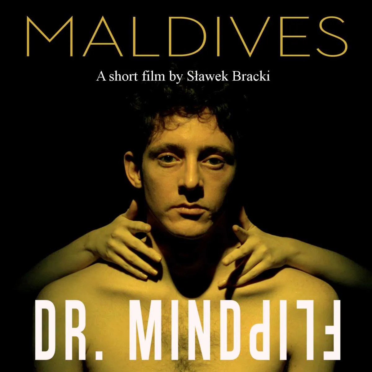 Cover art for Maldives