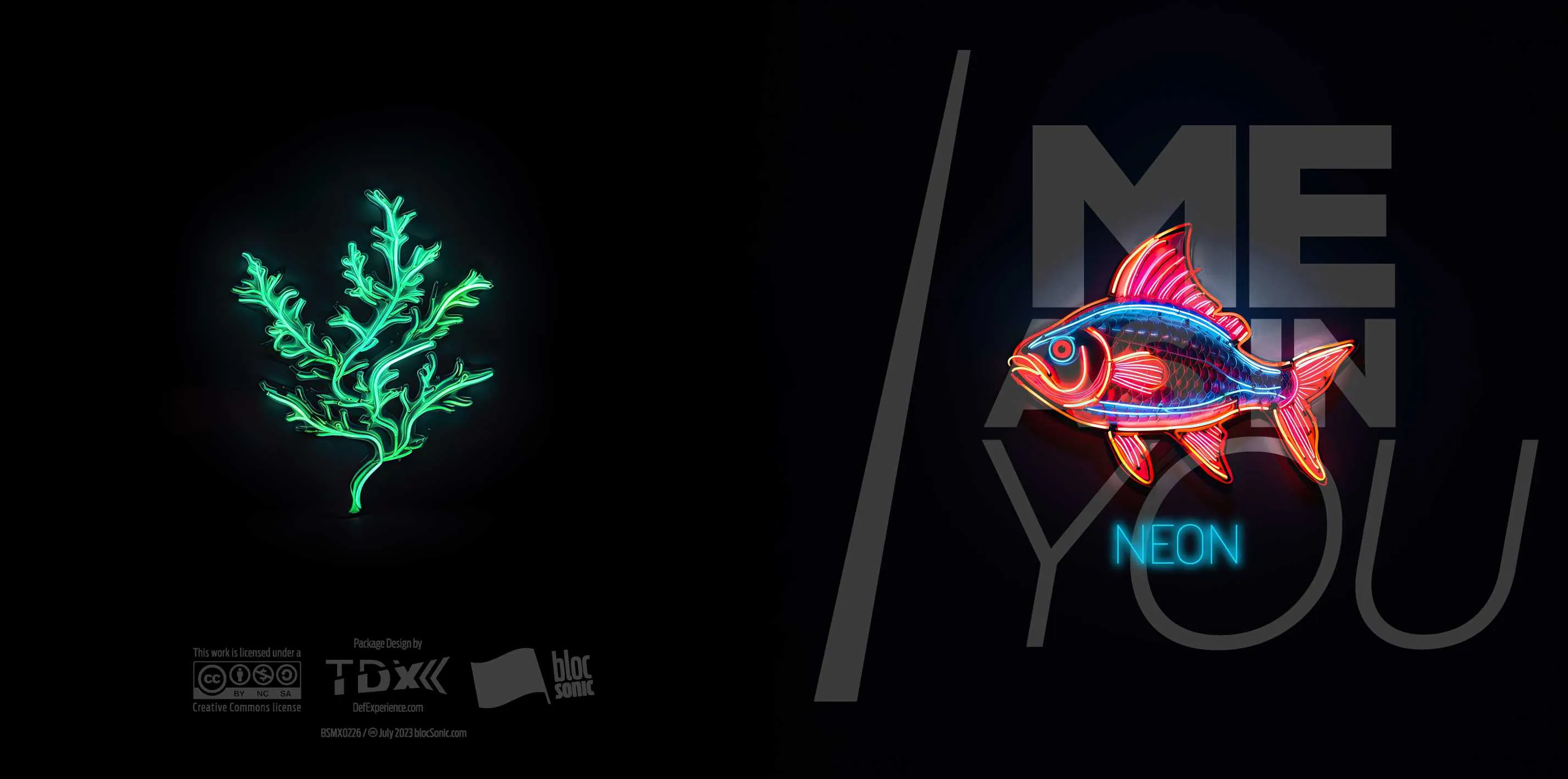 Album insert for “Neon” by Me As In You